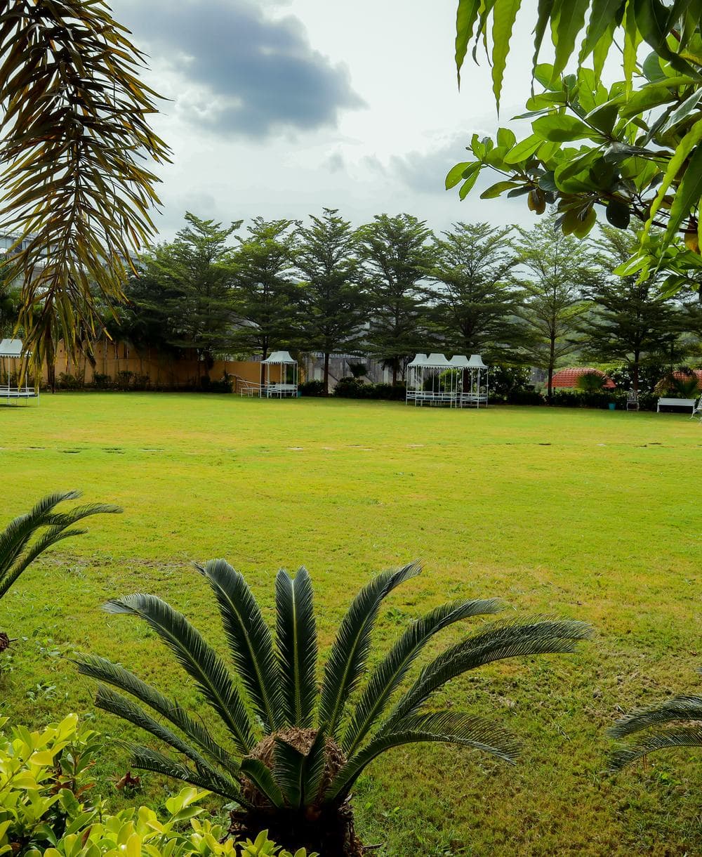 Lush palm-lined garden lawns with shaded gazebos