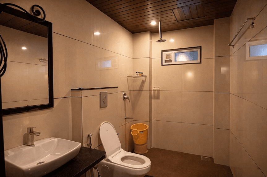 Deluxe King Room modern attached bathroom
